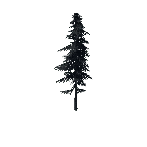 ConiferTreeBig02LOD3 (TVE Backup)